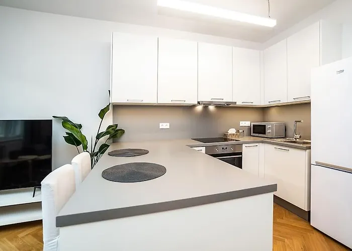 Amazing Two-bedroom With Terrace Praag